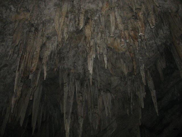 lotsofstalagtites.jpg